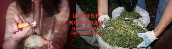 гашик Володарск