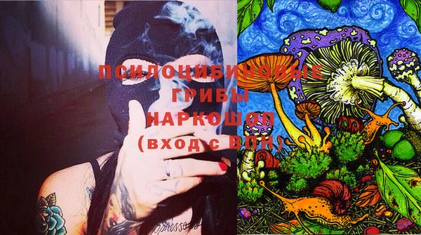стаф Волоколамск