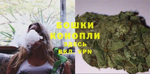 СК Вязьма