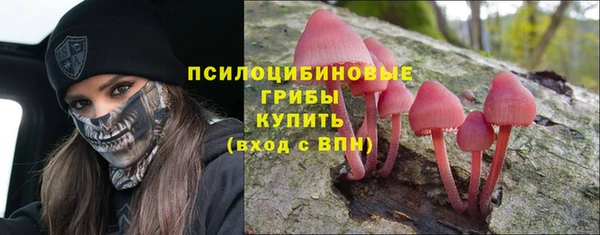 стаф Волоколамск